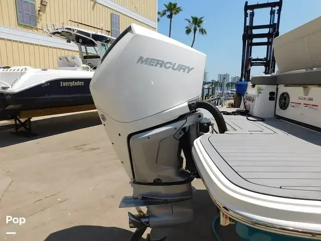 Sea Ray SDX 250