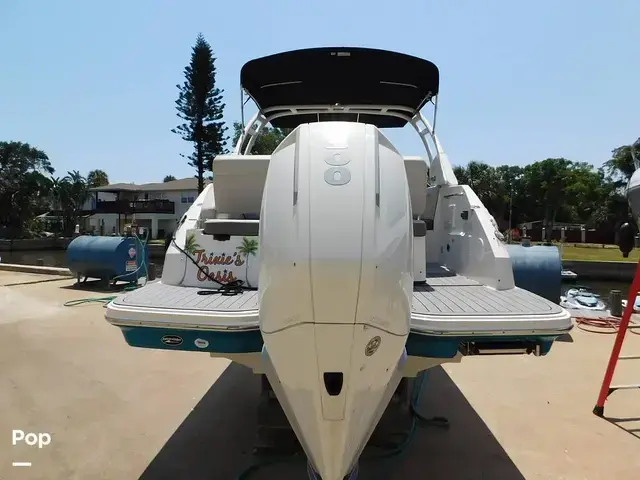 Sea Ray SDX 250