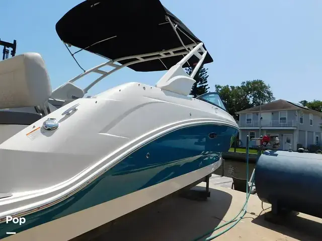 Sea Ray SDX 250