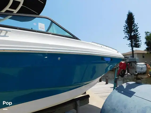 Sea Ray SDX 250