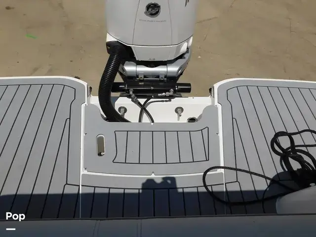 Sea Ray SDX 250