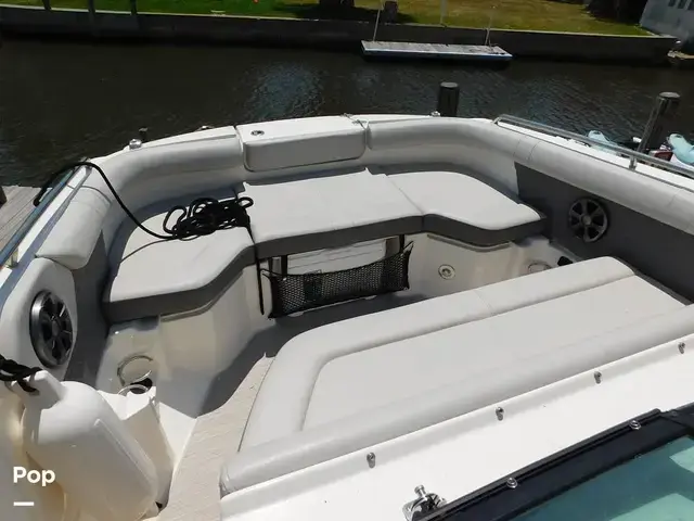 Sea Ray SDX 250