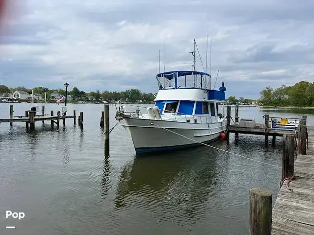 Universal Trawler Litton Europa 41