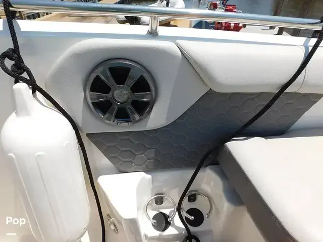 Sea Ray SDX 250