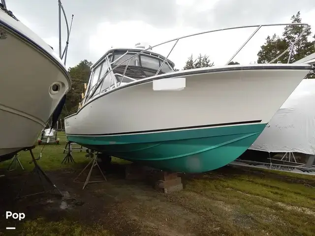 Carolina Classic 28