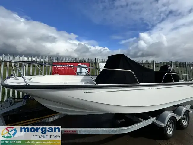 Boston Whaler 190 Montauk