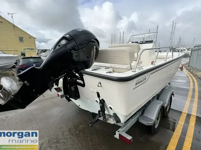 Boston Whaler 190 Montauk