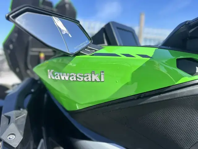 Kawasaki 310 Lx