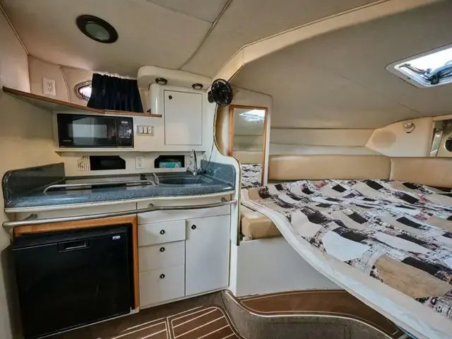 Sea Ray 290 Sundancer