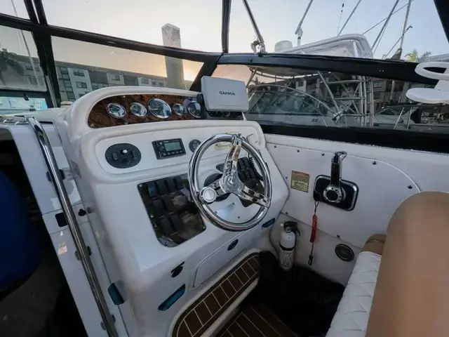 Sea Ray 290 Sundancer