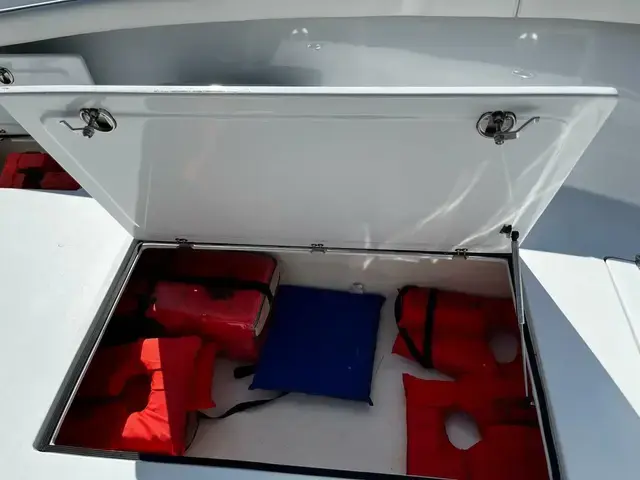 Custom Correct Craft Inc. Fish Nautique