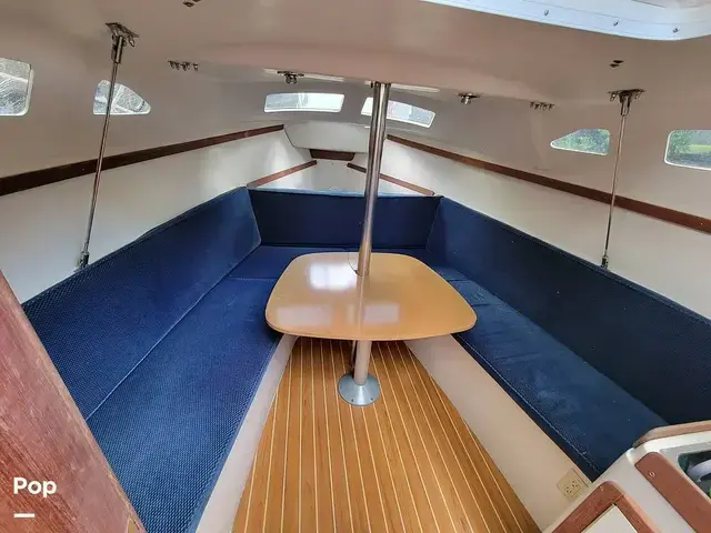 Catalina 250