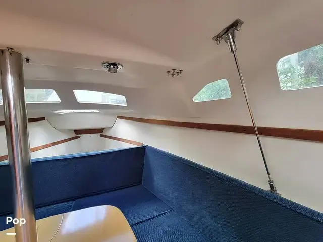 Catalina 250