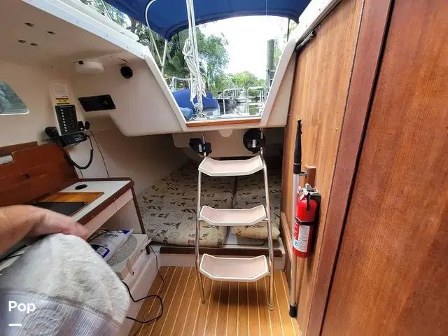 Catalina 250