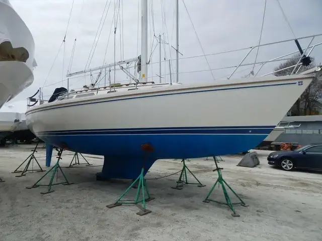 Catalina Sloop