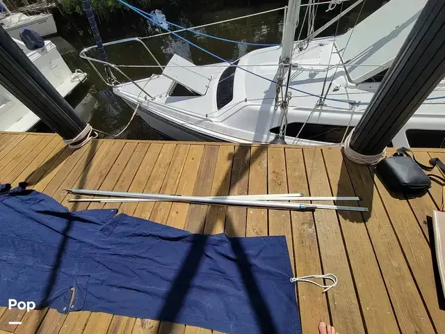 Catalina 250