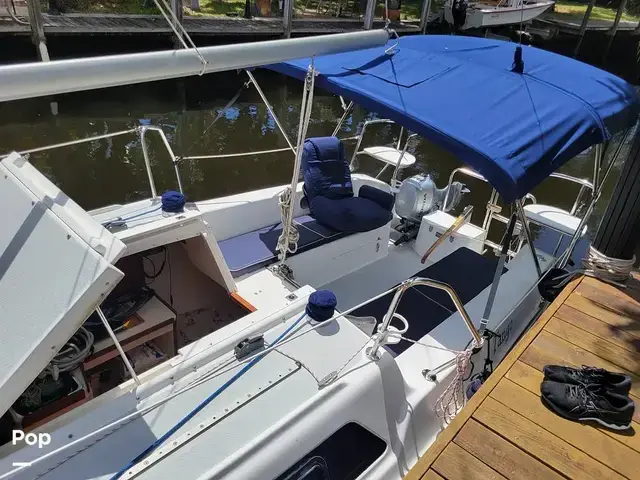 Catalina 250