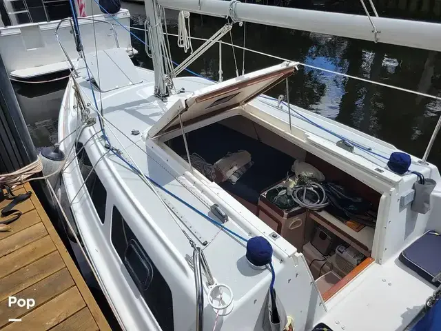 Catalina 250