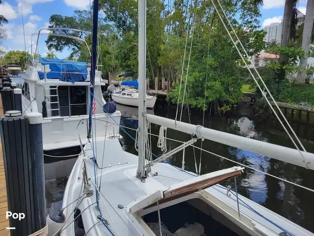 Catalina 250