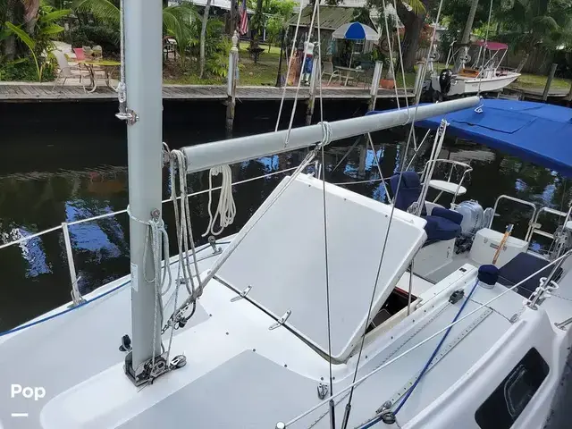 Catalina 250