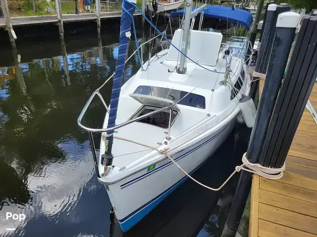 Catalina 250