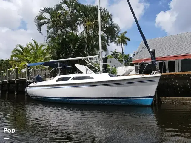 Catalina 250