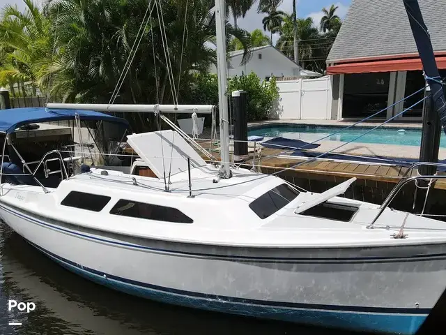 Catalina 250