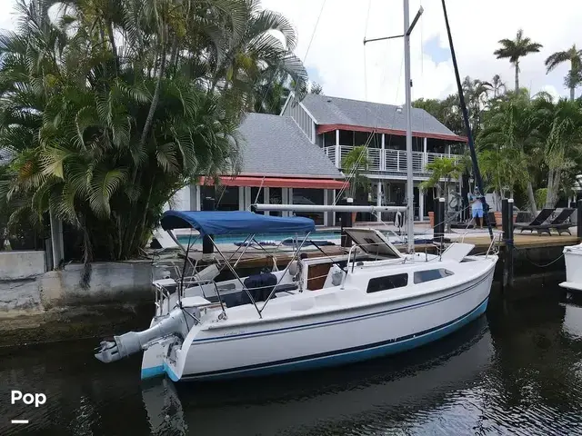 Catalina 250