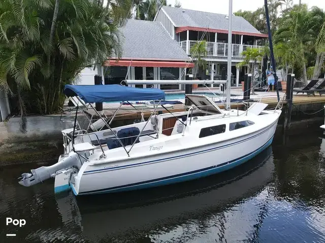 Catalina 250