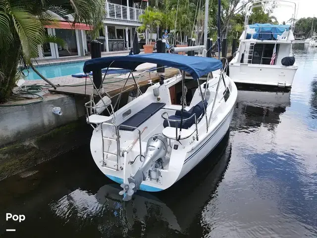 Catalina 250