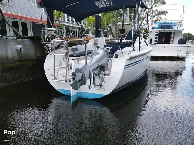 Catalina 250