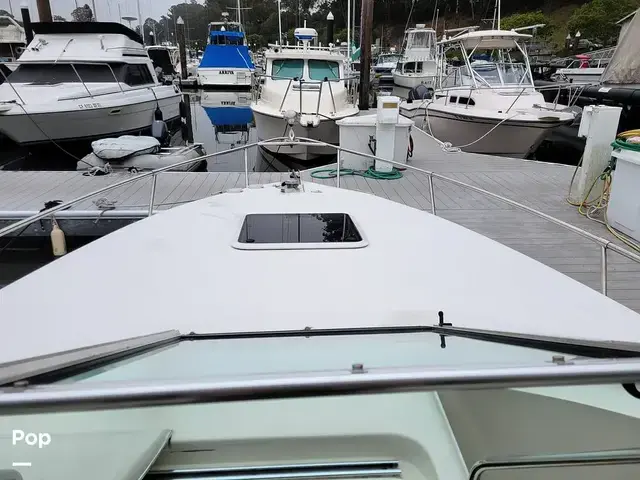 Sea Ray 280 Sun Sport