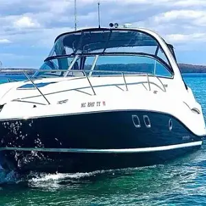 2017 Rinker EX 320