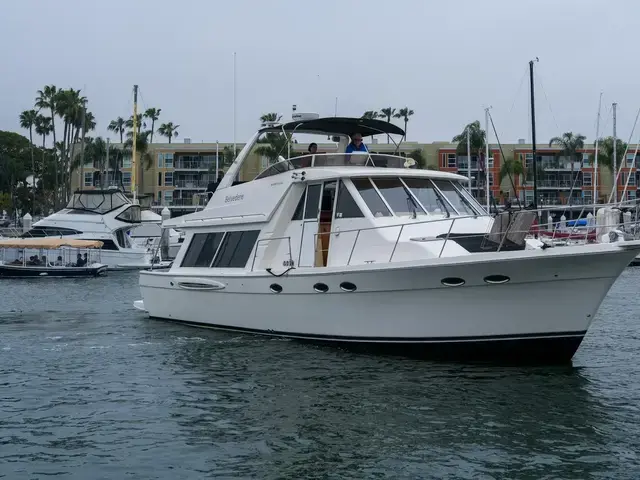 Meridian 49