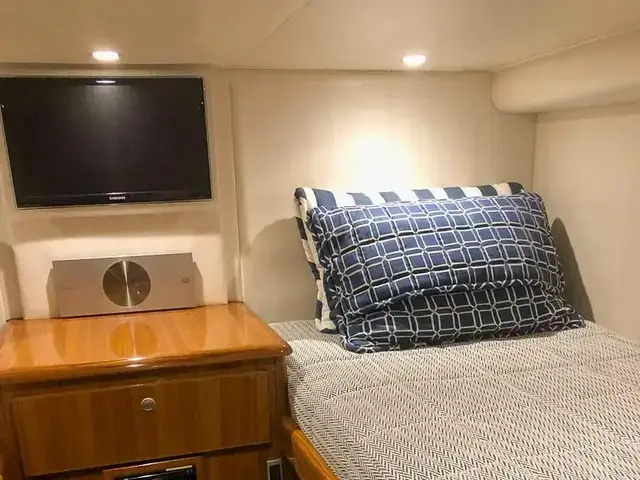 Viking 42'