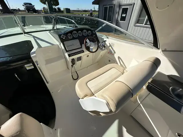 Sea Ray Sundancer 310