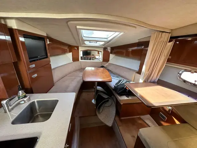 Sea Ray Sundancer 310