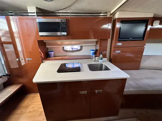 Sea Ray Sundancer 310