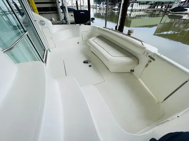 Sea Ray 400 Sedan Bridge