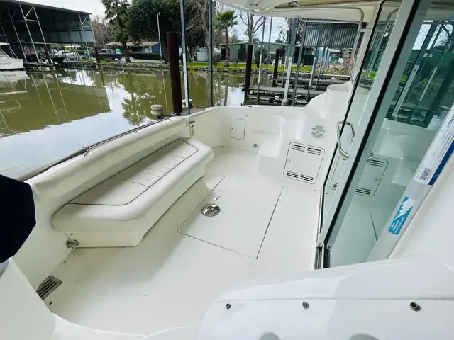 Sea Ray 400 Sedan Bridge