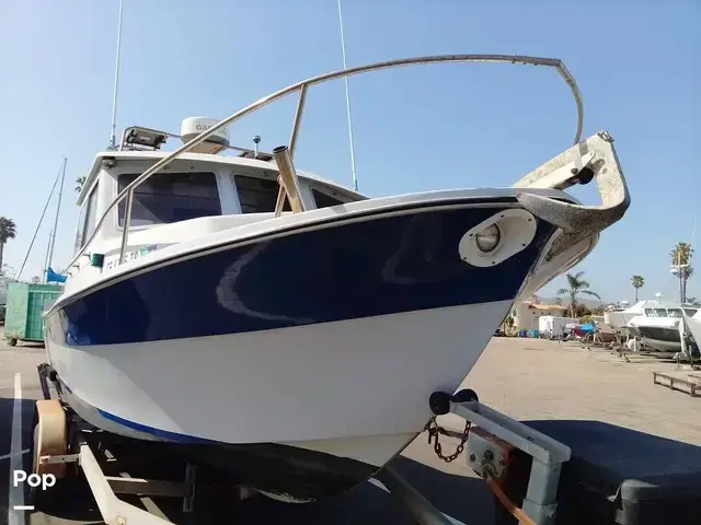 Sea Sport Sportsman 2200