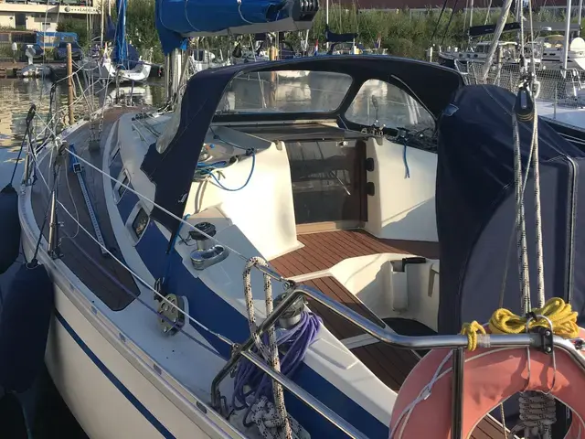 Bavaria 320