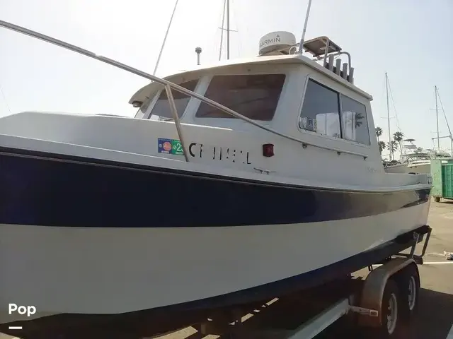 Sea Sport Sportsman 2200