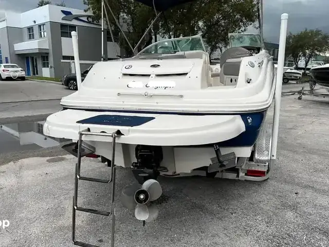 Sea Ray Sundeck 240