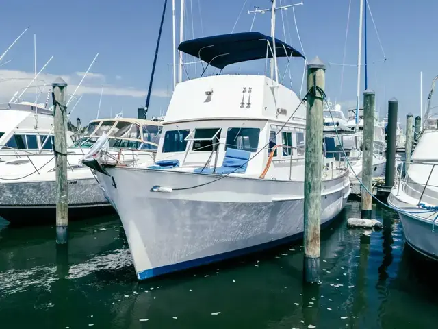 Bristol Trawler