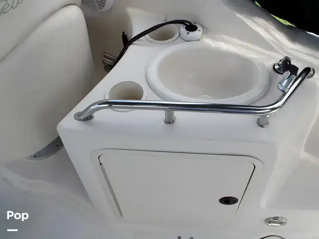 Sea Ray 240 Sundancer