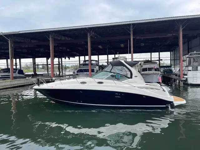 Sea Ray 32