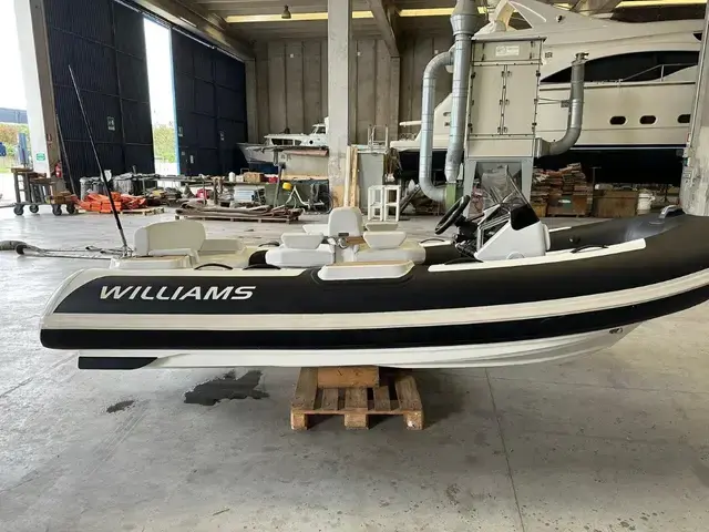 Williams Jet Tenders 415 Diesel Jet