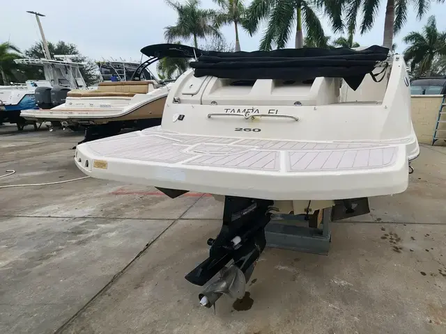 Sea Ray 26