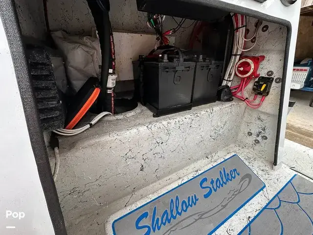 Shallow Stalker 240 Cat Pro